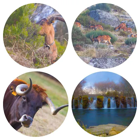 Casa de Férias Getaway Bilho