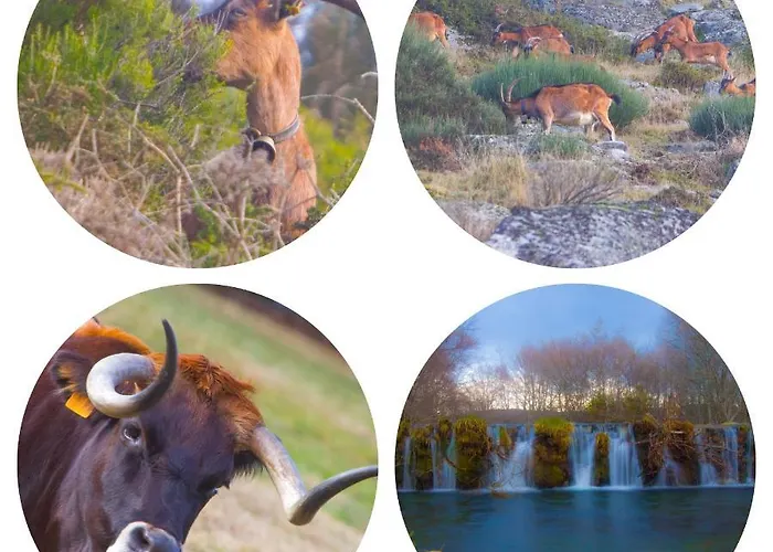 Vakantiehuis Getaway Bilho